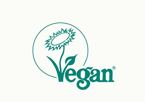 Organic Rice Protein Powder