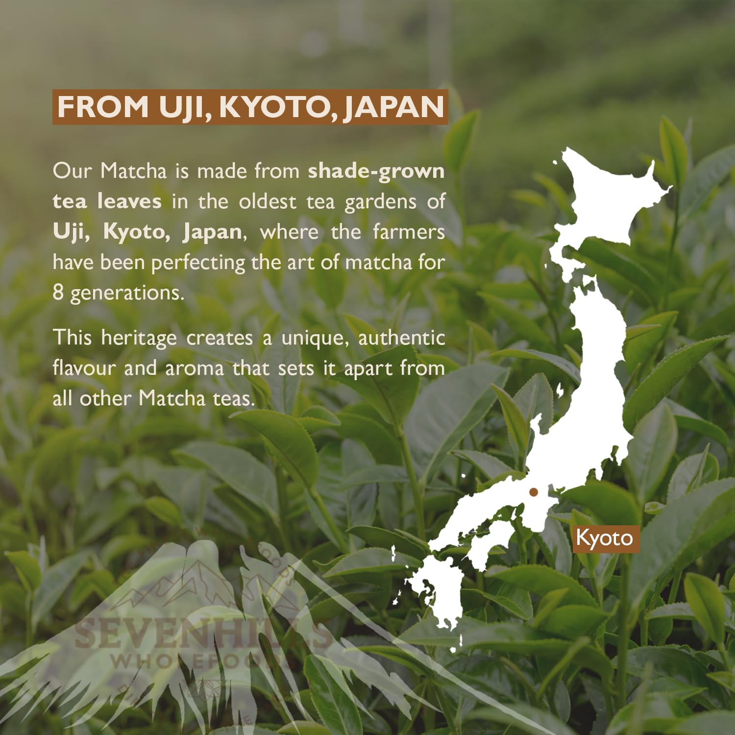 Organic Japanese Matcha Green Tea Powder