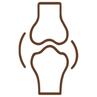 {"type":"root","children":[{"type":"paragraph","children":[{"type":"text","value":"Bone Health"},{"type":"text","value":" Support","italic":true}]}]}