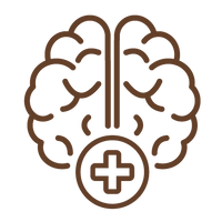 {"type":"root","children":[{"type":"paragraph","children":[{"type":"text","value":"Brain Health "},{"type":"text","value":"Support","italic":true}]}]}