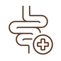 {"type":"root","children":[{"type":"paragraph","children":[{"type":"text","value":"Gut Health "},{"type":"text","value":"Support","italic":true}]}]}