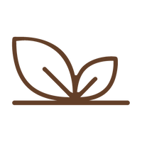 {"type":"root","children":[{"type":"paragraph","children":[{"type":"text","value":"100%"},{"type":"text","value":" Fruiting Body","italic":true}]}]}