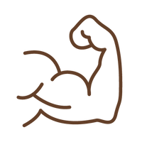 {"type":"root","children":[{"type":"paragraph","children":[{"type":"text","value":"Muscle "},{"type":"text","value":"Growth","italic":true}]}]}