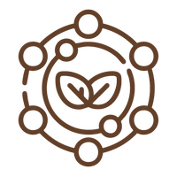 {"type":"root","children":[{"type":"paragraph","children":[{"type":"text","value":"Minimally "},{"type":"text","value":"Processed","italic":true}]}]}