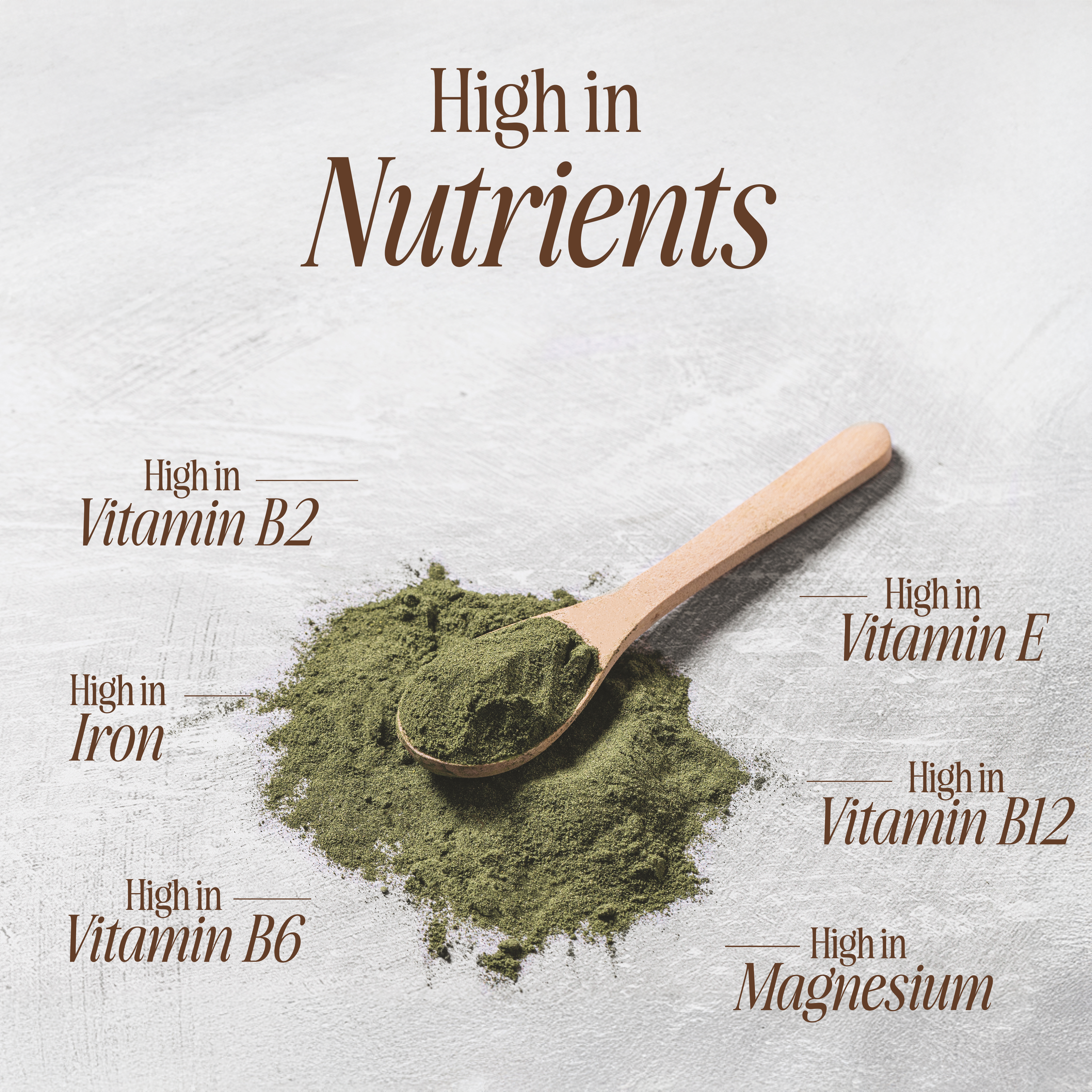 Moringa Oleifera Leaf Powder