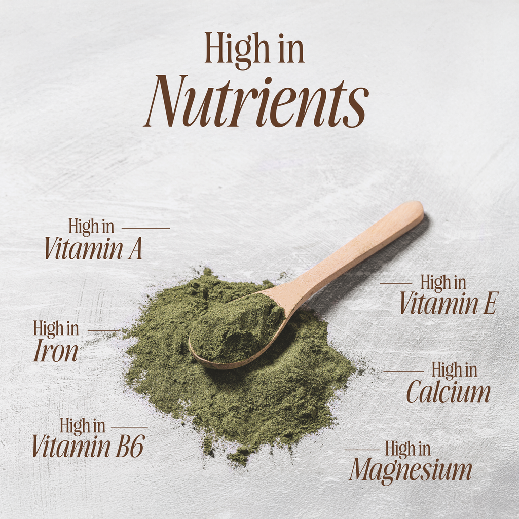 Organic Moringa Oleifera Powder