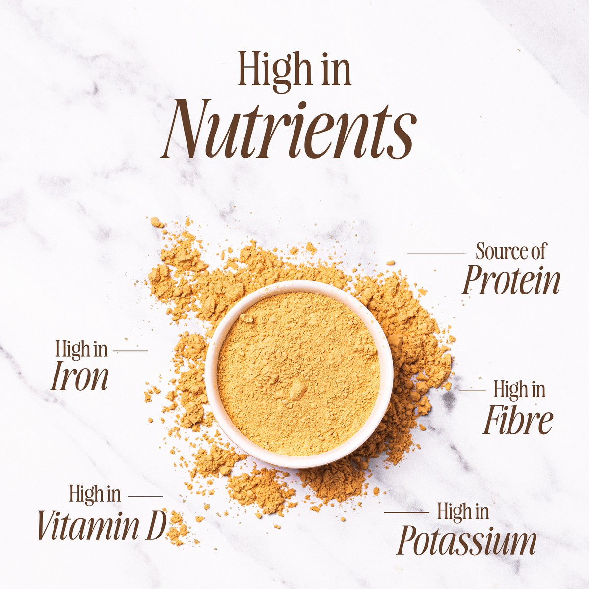 Organic Lion's Mane Mushroom Powder