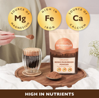 Organic Reishi Mushroom Powder
