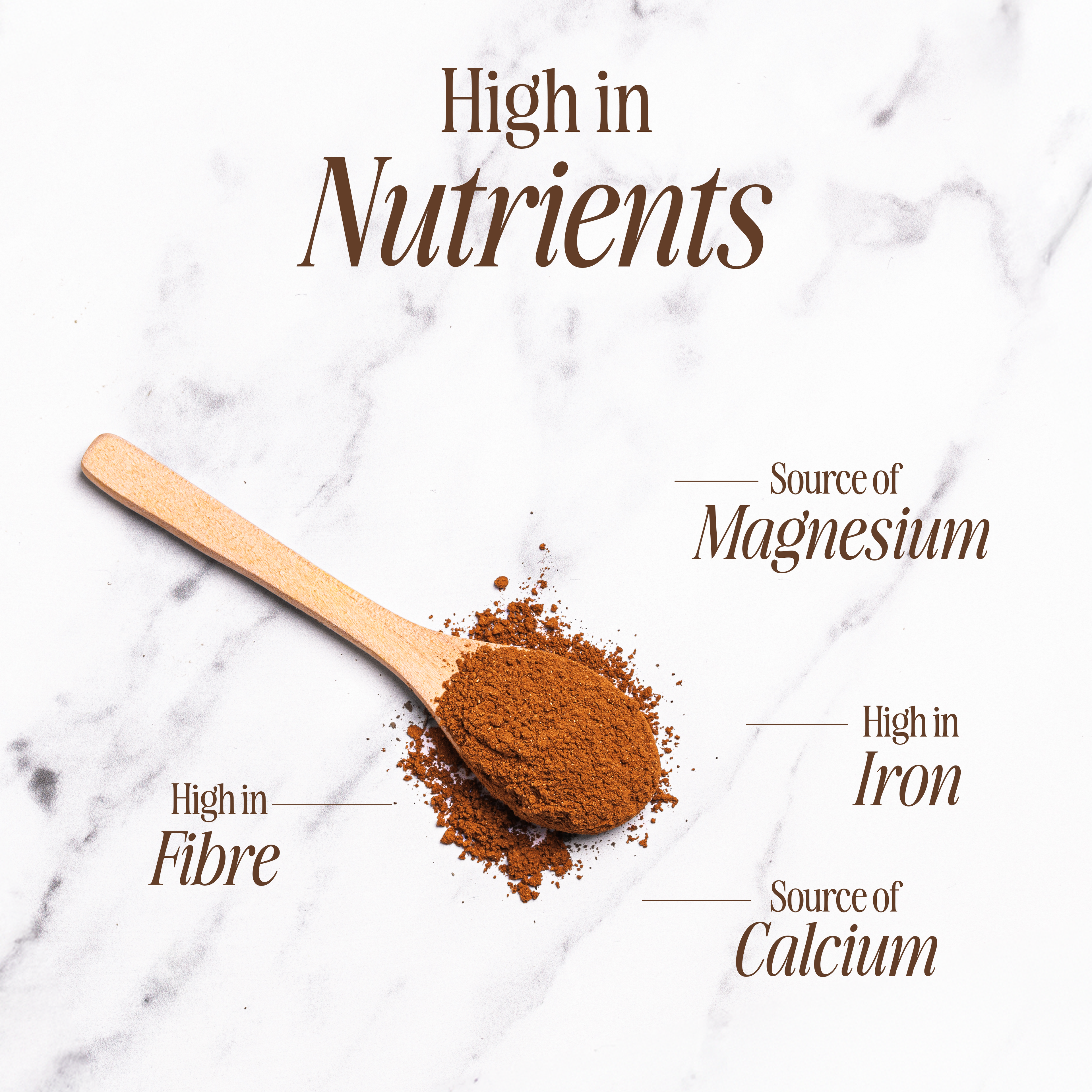 Organic Reishi Mushroom Powder