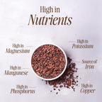 Organic Raw Cacao Nibs