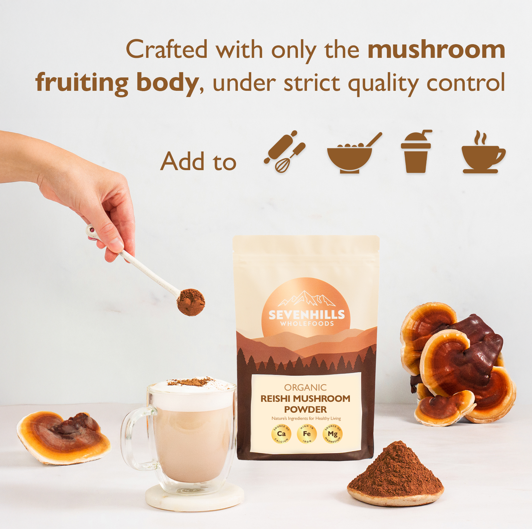 Organic Reishi Mushroom Powder
