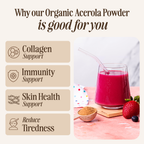 Organic Acerola Powder
