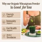 Organic European Wheatgrass Powder