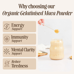 Organic Gelatinised Maca Powder