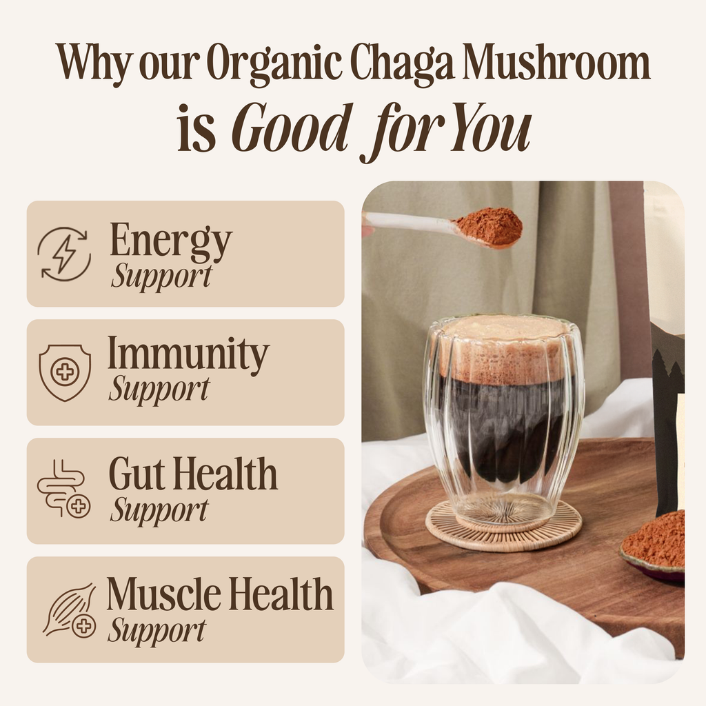 Organic Chaga Mushroom Powder
