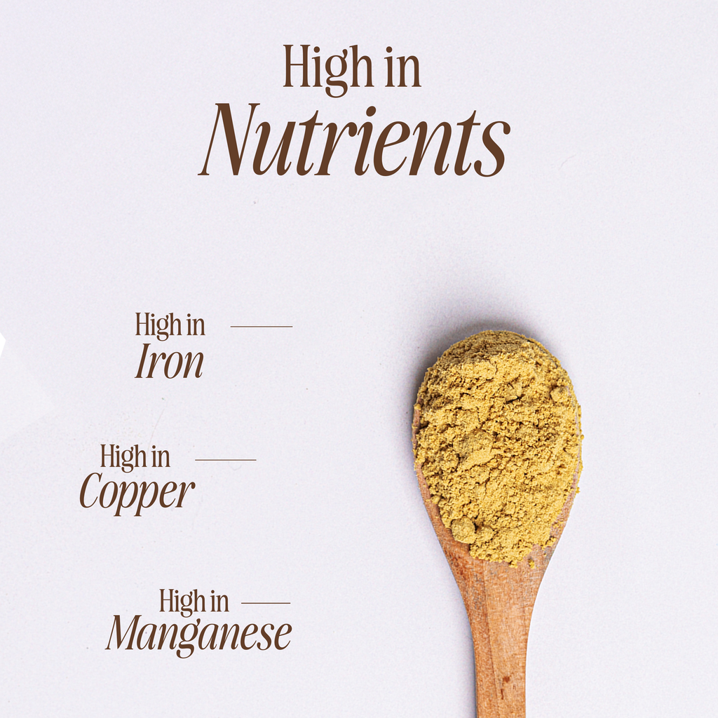 Organic Pumpkin Seed Protein Powder