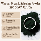 Organic Spirulina Powder