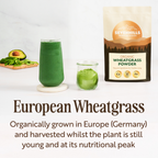 Organic European Wheatgrass Powder