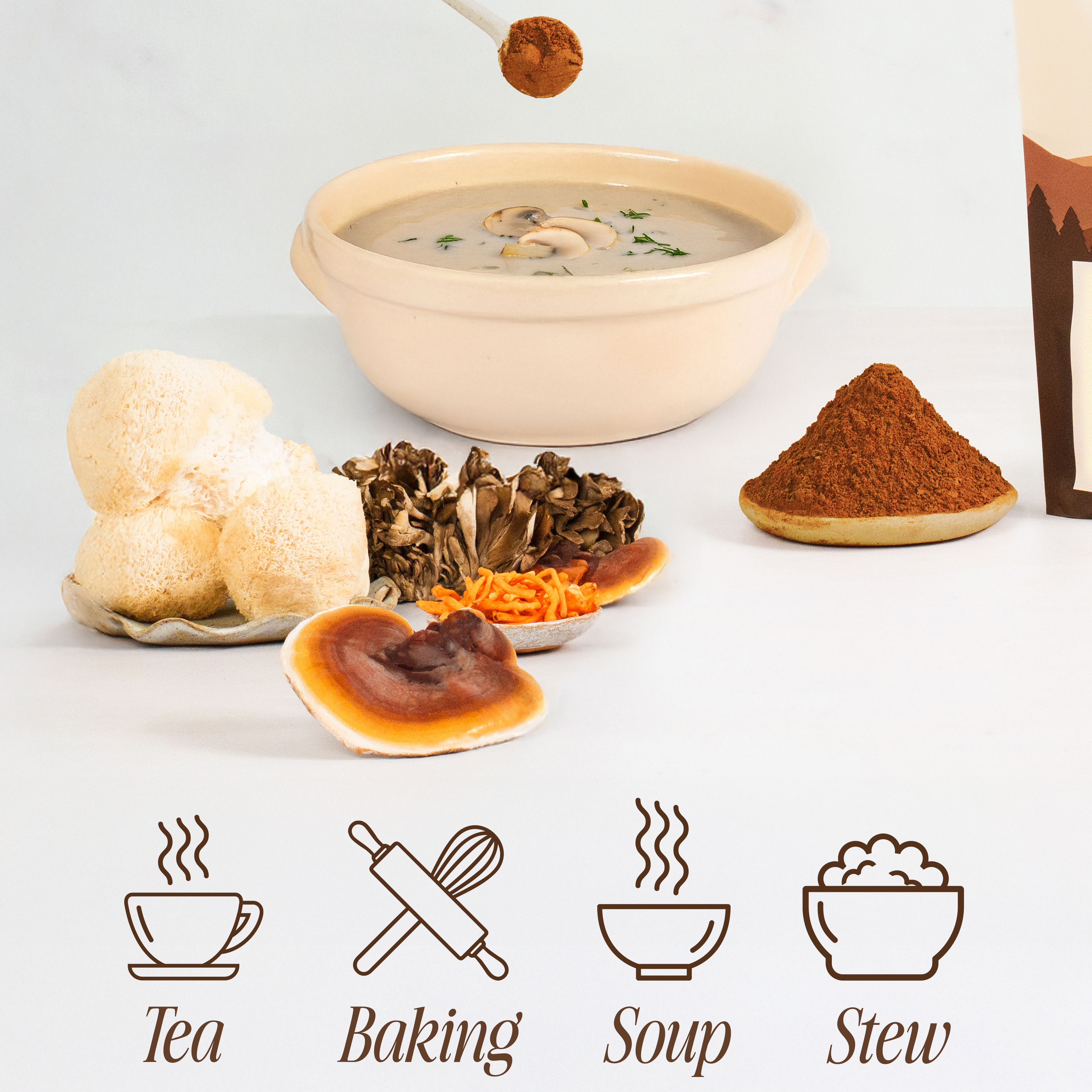 Organic Reishi Mushroom Powder