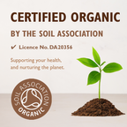 Organic Turmeric Powder